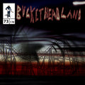 Final Bend Of The Labyrinth CD
