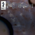 27 Days Til Halloween: Cavern Guide CD