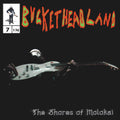 "The Shores of Molokai" vinyl